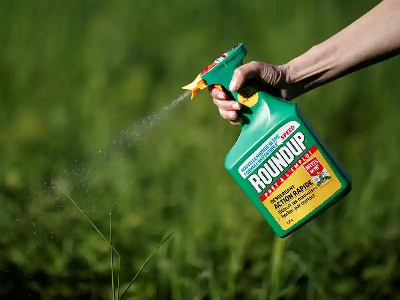 Bottle of Roundup